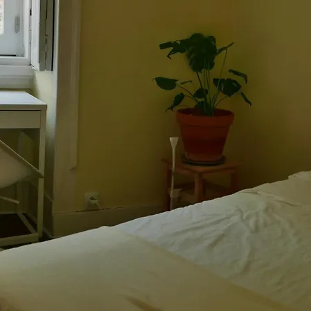 Origem Homestay